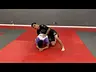 Top turtle attacks / back attacks