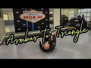 Armbar to Triangle