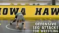 Offensive Leg attacks For Wrestling by Brandon Sorensen image 3