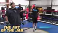 The Art Of The Jab by Brian Bomac Mcintyre image 3