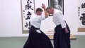 Aikido Extensions by Bruce Bookman image 3