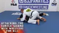 Attacking The Turtle Guard With Wrestlers For BJJ by Casey Lamb image 3