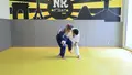Scoring Ippons In Transition by Charline Van Snick image 3