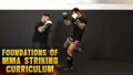 Foundations of MMA Striking Curriculum by Charles Martinez image 3