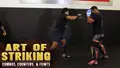 Art of Striking Combos, Counters, & Feints by Charles Martinez image 3