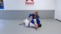 A Daisy Fresh Take On Arm Bars by Chad Hawkins image 5