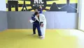 Scoring Ippons In Transition by Charline Van Snick image 4