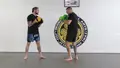 Basic Striking For MMA Volume 1: Punches by Charlie Vinch image 5