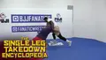 The Single Leg Takedown Encyclopedia by Dan Vallimont image 3