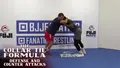 The Collar Tie Formula: Defense and Counter Attacks by Dan Vallimont image 3