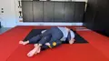 Top Half Guard vs Bottom Half Guard by Daniele Bolelli image 3