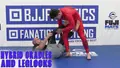 Hybrid Cradles and Leg Locks by David and Vince Petrone image 3