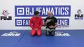 Hybrid Cradles and Leg Locks by David and Vince Petrone image 4