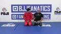 Hybrid Cradles and Leg Locks by David and Vince Petrone image 5