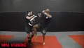 MMA Striking by David Loiseau image 3