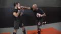 MMA Striking by David Loiseau image 5