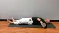 Jiu Jitsu Intelligence: The Ultimate Movement Preparation, Warm Up and Essential Skill Series by Dominick Nusdeu image 5