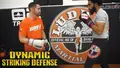 Dynamic Striking Defense by Duane Ludwig image 3
