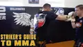 Strikers Guide To MMA by Duane Ludwig image 3