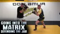 Going Into The Matrix: Defending The Jab by Duke Roufus image 3