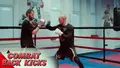 Combat Back Kicks by Edgars Skrivers image 3