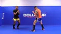 Buzzsaw Kicking Mechanics by Edson Barboza image 5