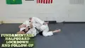 Fundamentals: Half Guard Lockdown and Followup by Eric Silver image 3