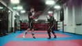 Combat Leg Kicks by Edgars Skrivers image 4