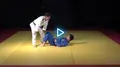 The Progressive System: Canto Choke Mastery by Flavio Canto image 4
