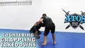 Countering Grappling Takedowns by Fred Leavy image 3