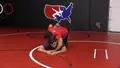 Dominant top Work by Frank Molinaro image 4