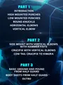 The Art & Science Of Ground And Pound Part 1 by Greg Jackson image 2