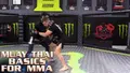 Muay Thai Basics For MMA by Gaston Bolanos image 3
