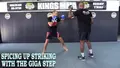 Spicing Up Striking With The Giga Step by Giga Chikadze and Barry Robinson image 3
