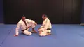 Seionage Basic To Advanced by Israel Hernandez image 3
