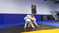 All Things Sankaku by Ivo Dos Santos & Kim Chalmers image 4