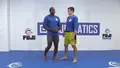 Sting Like a Bee: Counter Wrestling Mastery by J'Den Cox image 4