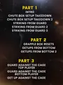 Grapple Boxing Fundamentals by Jared Gordon image 2