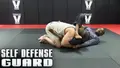 Self Defense Guard by Jeff Higgs image 3