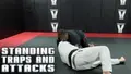 Standing Traps and Attacks by Jeff Higgs image 3