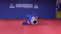 Jeon Style Judo by Jeon Ki Young image 4