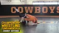 Championship Wrestling Fundamentals Cowboy Defense by John Smith image 3