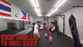 Kick Drills to Drill Kicks by Ryan Kim Cafaro image 3
