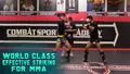 World Class Effective Striking For MMA by Kirian Fitzgibbons image 3