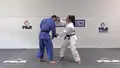 The Panamanian Judo System by Kristine Jimenez image 5