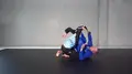 Lapel Guards I Shamelessly Stole by Maksym Witkowski image 3