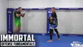 Immortal Defense Fundamentals by Matt Brown image 3