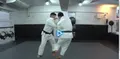 The Art Of Ouchi-Gari & Other Devastating Ippons by Mashu Baker image 4