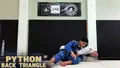 The Python Back Triangle by Michael Chu image 3