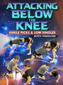 Attacking Below The Knee by Mitch Finesilver image 1